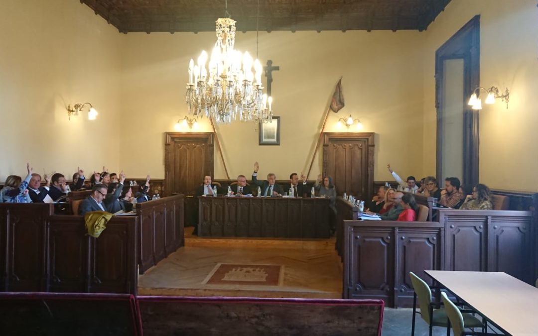 El Pleno del Ayuntamiento aprueba la moción de APYD para elaborar un Plan de Formación para la Ordenanza General de Subvenciones